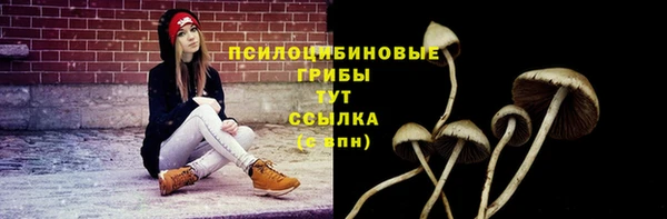 хмурый Вязьма