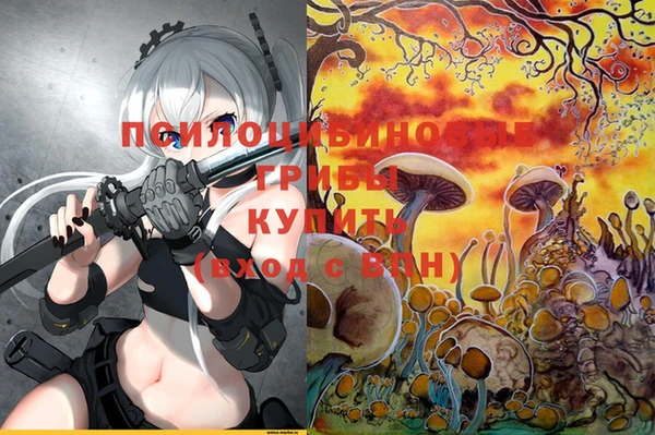 шишки Вяземский