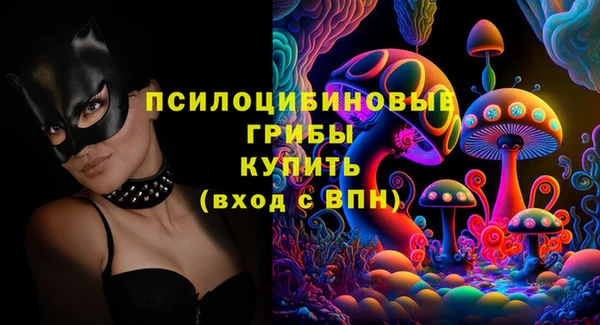 винт Горно-Алтайск