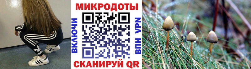 Псилоцибиновые грибы прущие грибы  продажа наркотиков  Емва 